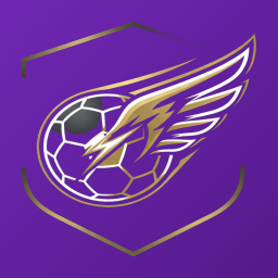 爱游戏 Logo