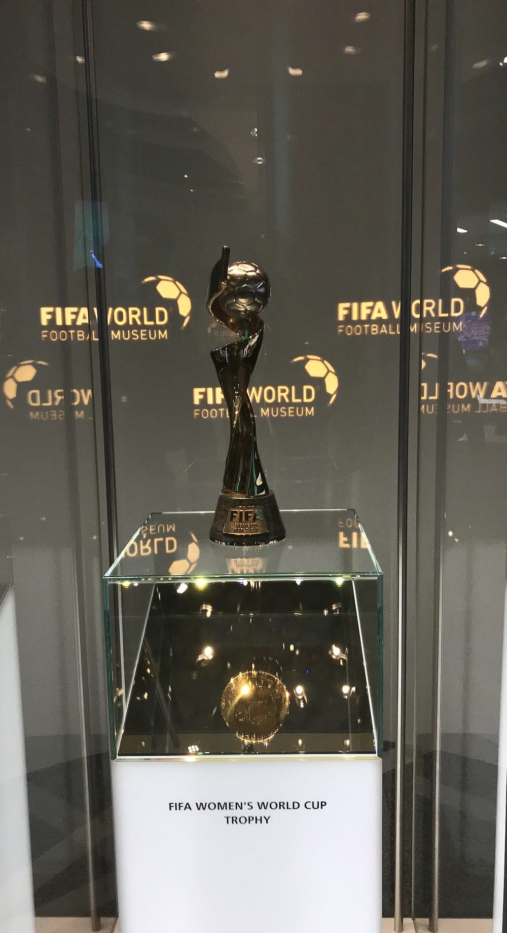 FIFA Women World Cup Trophy (Ank Kumar, Infosys Limited) 01